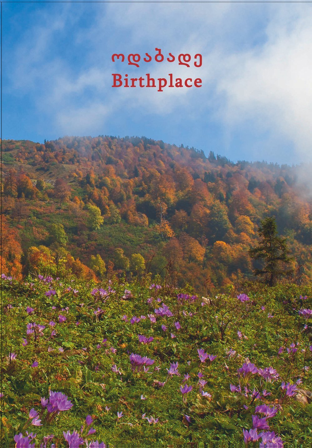 წიგნის ყდა: ოდაბადე · Birthplace